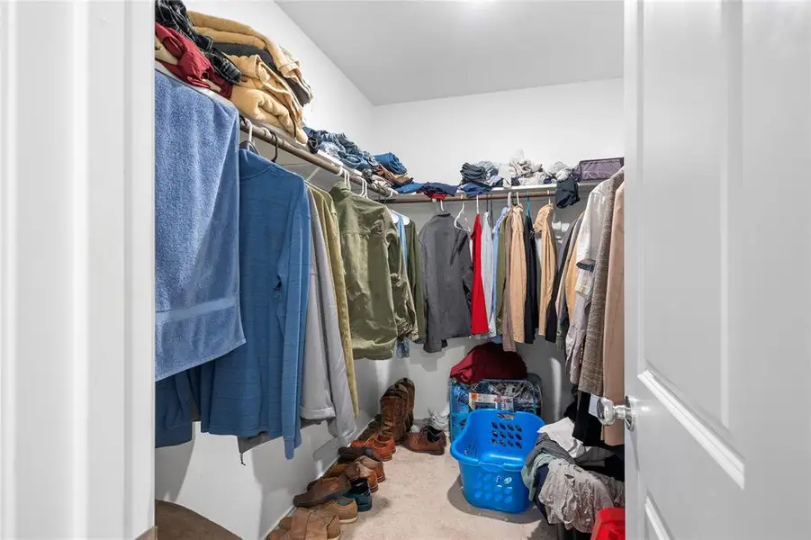 Walk-in closet with carpet flooring, built-in shelving, and clothes rods Walk-in closet with carpet flooring, built-in shelving, and clothes rods