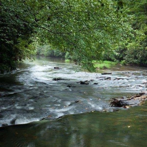 Natural landscape and outdoor views near in Ellijay (Image 40). Natural landscape and outdoor views near in Ellijay (Image 40).