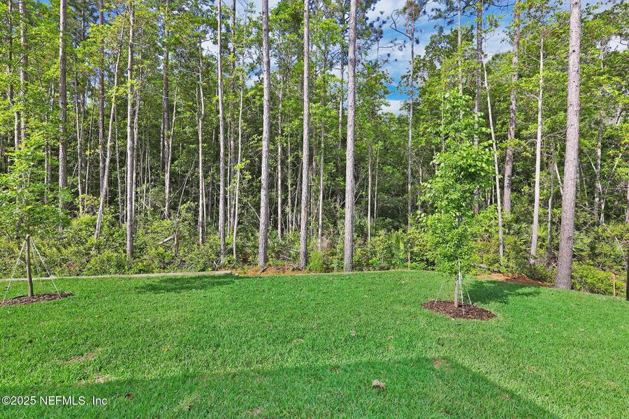 Exterior details and patio area of a home in Reflections at Nocatee, Ponte Vedra (Image 24). Exterior details and patio area of a home in Reflections at Nocatee, Ponte Vedra (Image 24).
