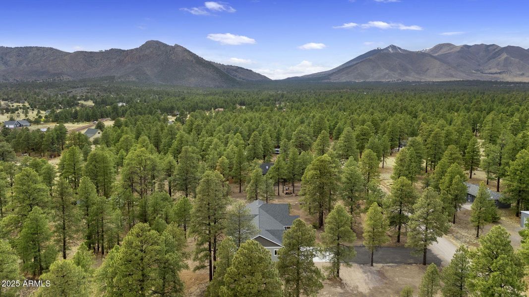 44-web-or-mls-DJI_20250430155749_0405_D 44-web-or-mls-DJI_20250430155749_0405_D