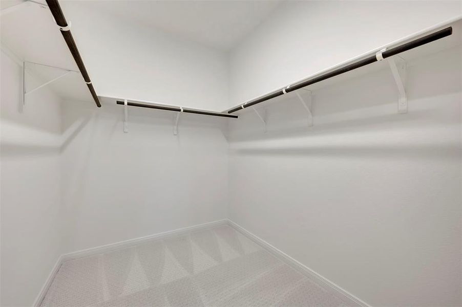 Walk in closet with carpet flooring