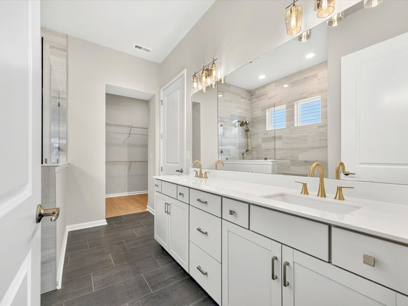 Owner's Bath