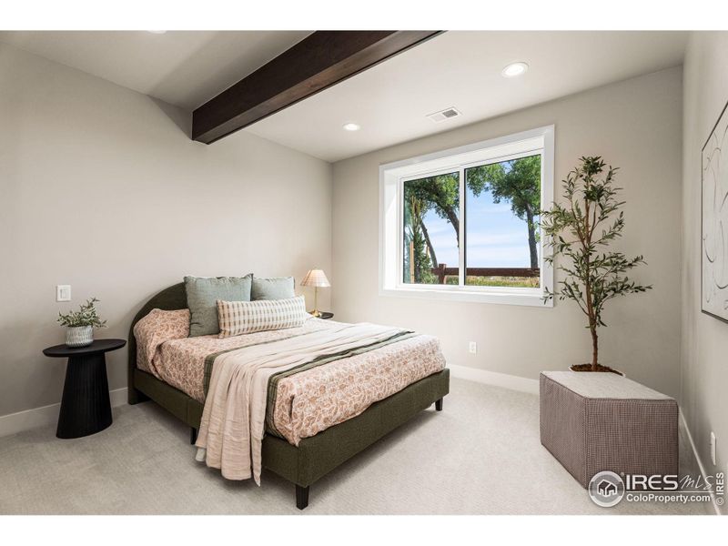 Second beautifully finished basement bedroom