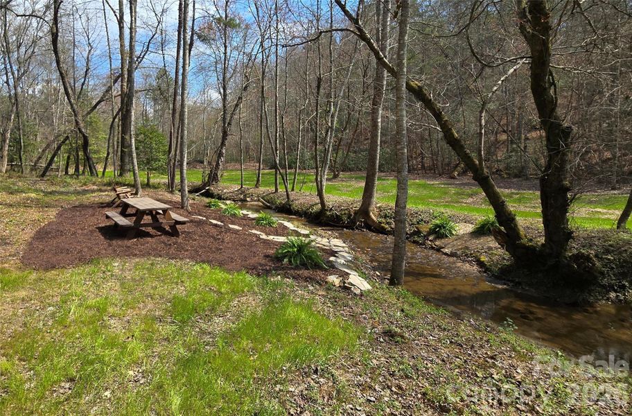 Natural landscape and outdoor views near  in Murphy (Image 33).