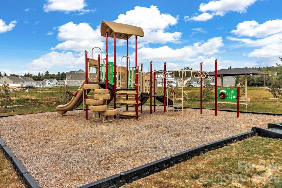Community Playgroundand a dog park is in the townhome section.