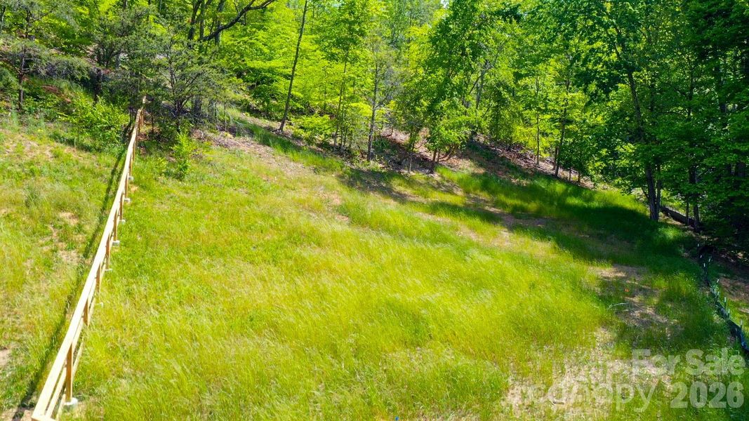 Natural landscape and outdoor views near  in Weaverville (Image 20).