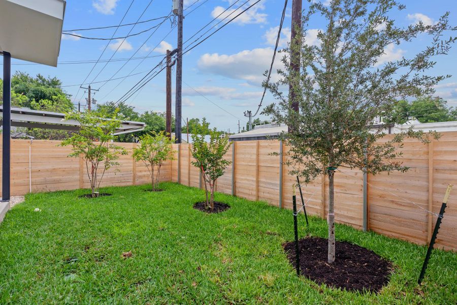 View of fenced backyard