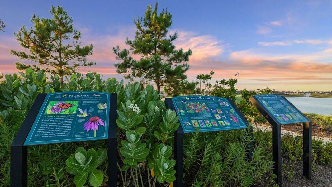 Image 28 of a home in Harrington Trails at The Canopies.