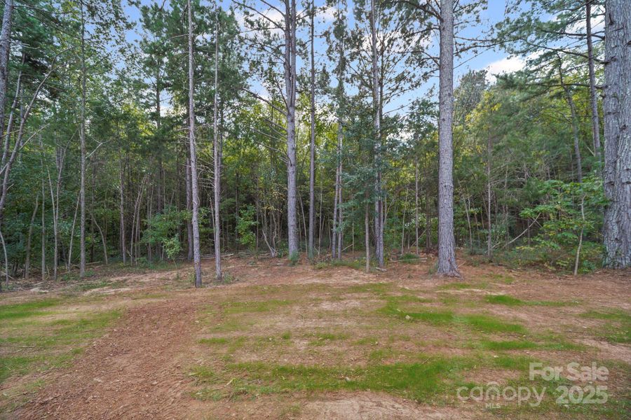 2.33 acre lot with partial clearing and woods. 2.33 acre lot with partial clearing and woods.