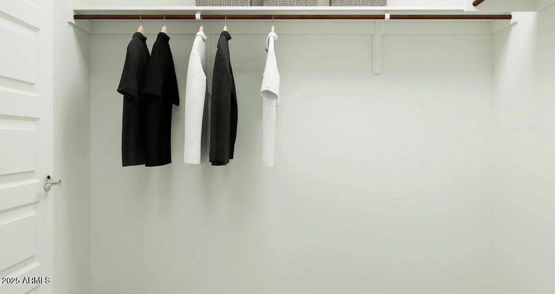 Owners Walk in Closet