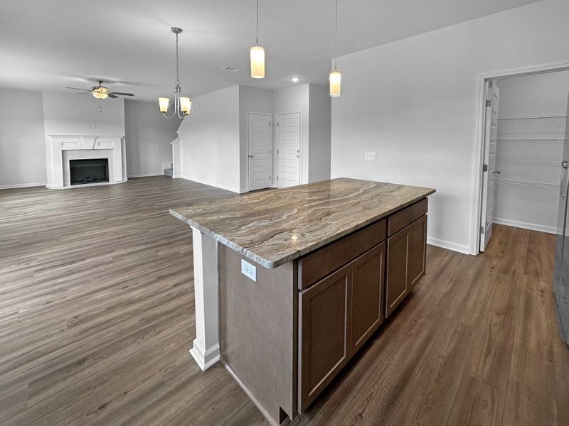 Furnished interior view inside a new home in Doctor's Creek, Ludowici (Image 9).