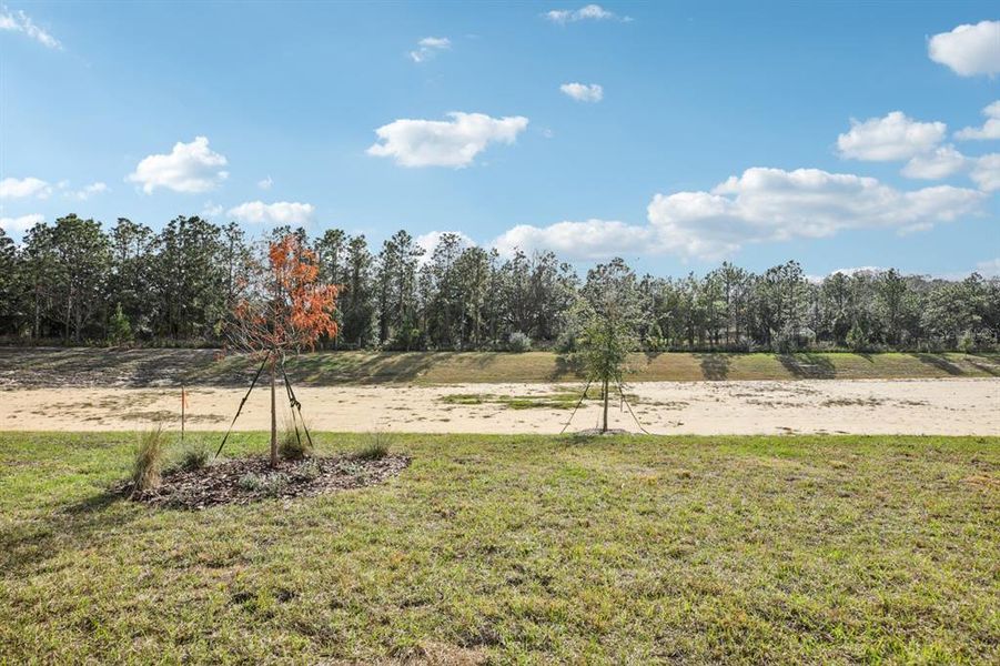 Natural landscape and outdoor views near  in Mount Dora (Image 69).