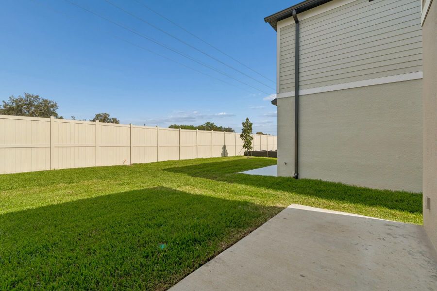 Backyard