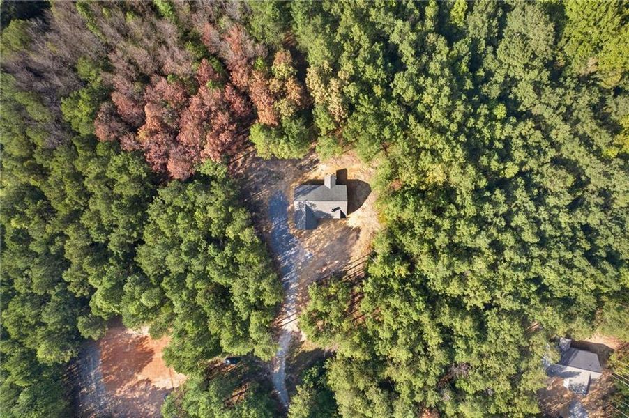 Natural landscape and outdoor views near  in Rockmart (Image 40).