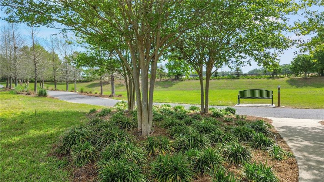 Natural landscape and outdoor views near  in Ocala (Image 60).
