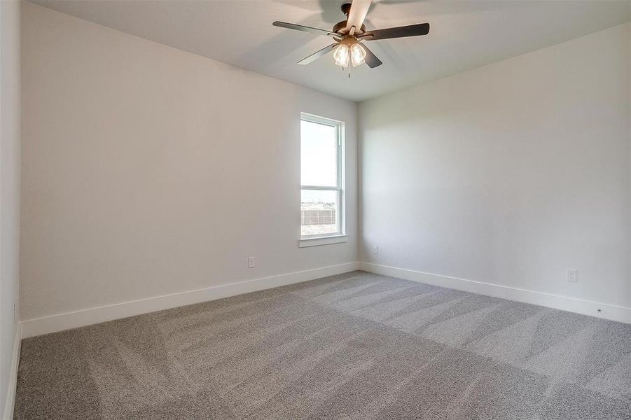 Unfurnished room featuring ceiling fan and carpet floors