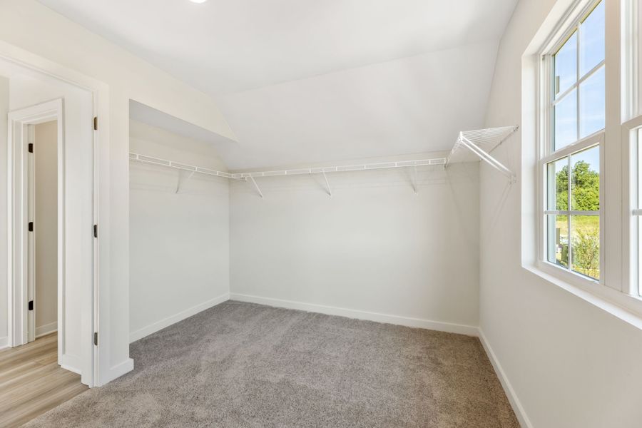 A room with a carpet and windows.