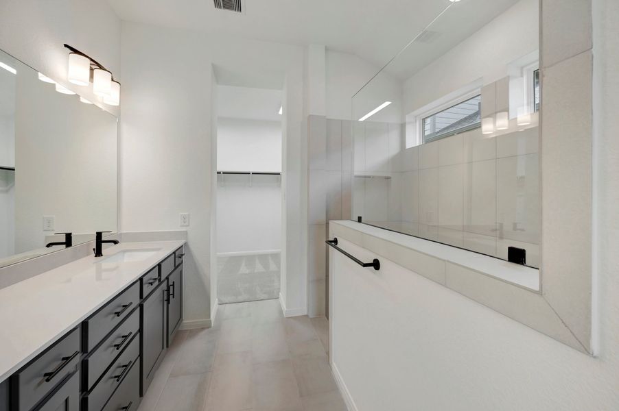 Owner's Bath
