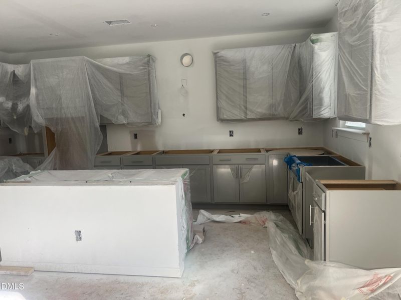 IMG_3953_Zoe Lawhorn