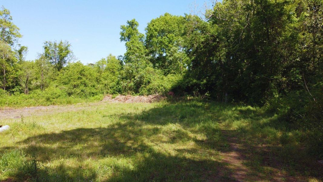 Natural landscape and outdoor views near  in Charleston (Image 10).