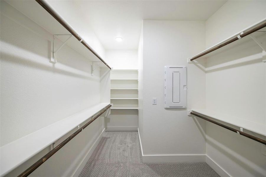 Spacious closet featuring light colored carpet