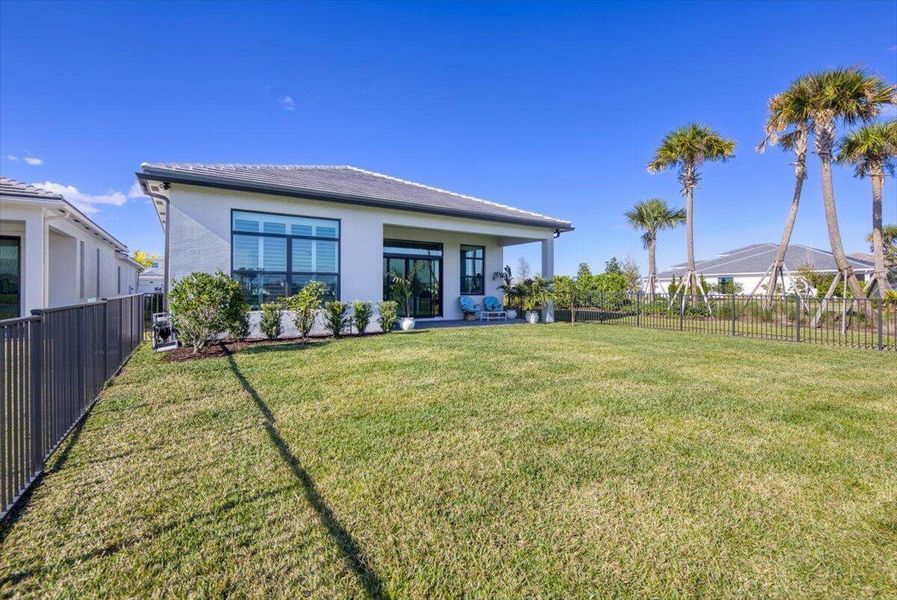 Backyard with Palm trees Backyard with Palm trees