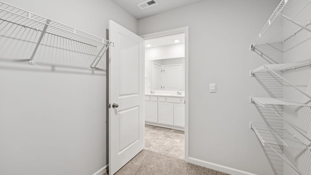 Spacious, unfurnished interior of a new home in Paddington Place, Baxter (Image 30).