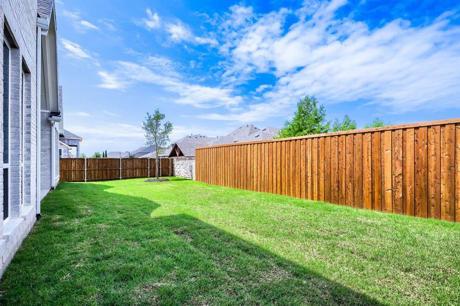 Landscaped backyard featuring a manicured lawn, a newly planted tree, and a stained wood privacy fence Landscaped backyard featuring a manicured lawn, a newly planted tree, and a stained wood privacy fence