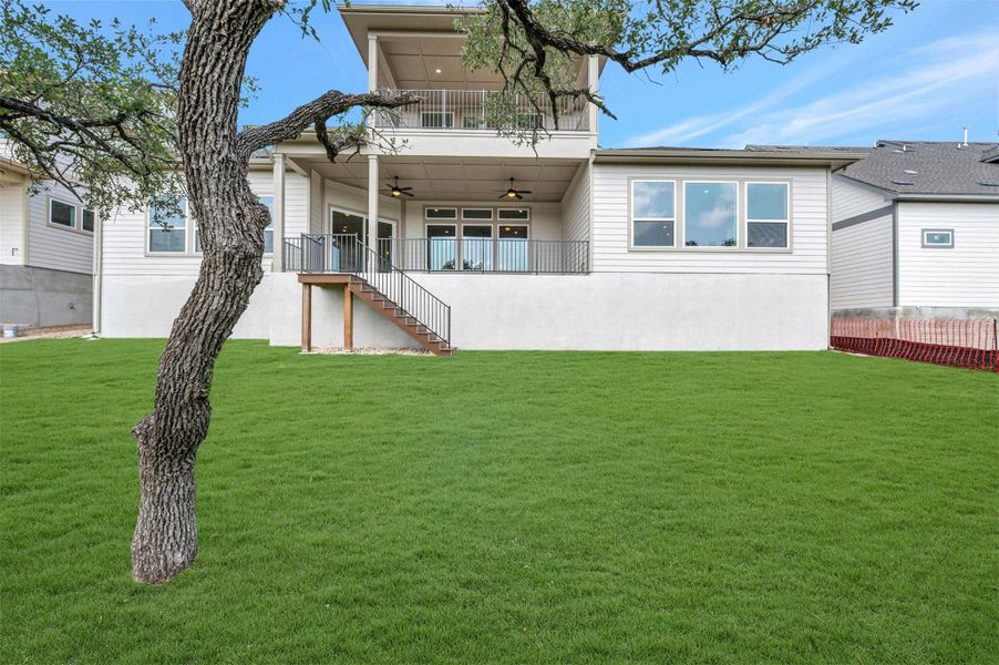 Back - Yard Back - Yard
