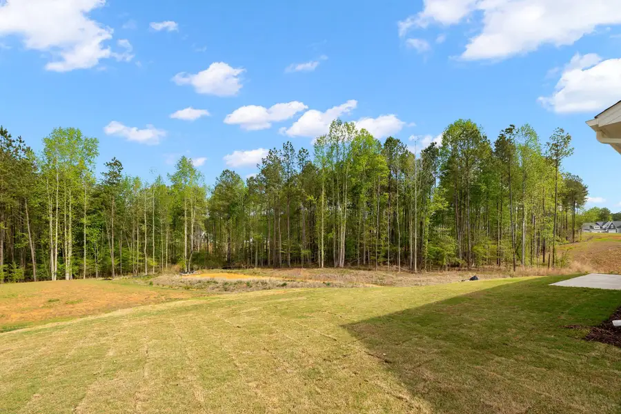 Outdoor and nature views near homes built from the The Bradley by RobuckHomes in Baylee Ridge, Selma (Image 203). Outdoor and nature views near homes built from the The Bradley by RobuckHomes in Baylee Ridge, Selma (Image 203).