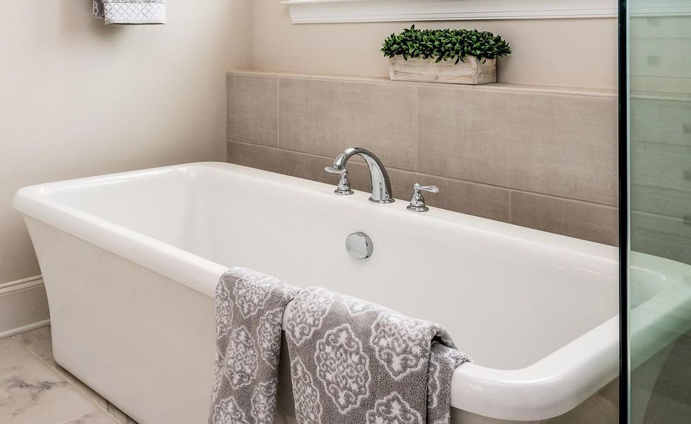 Owners Bath Tub