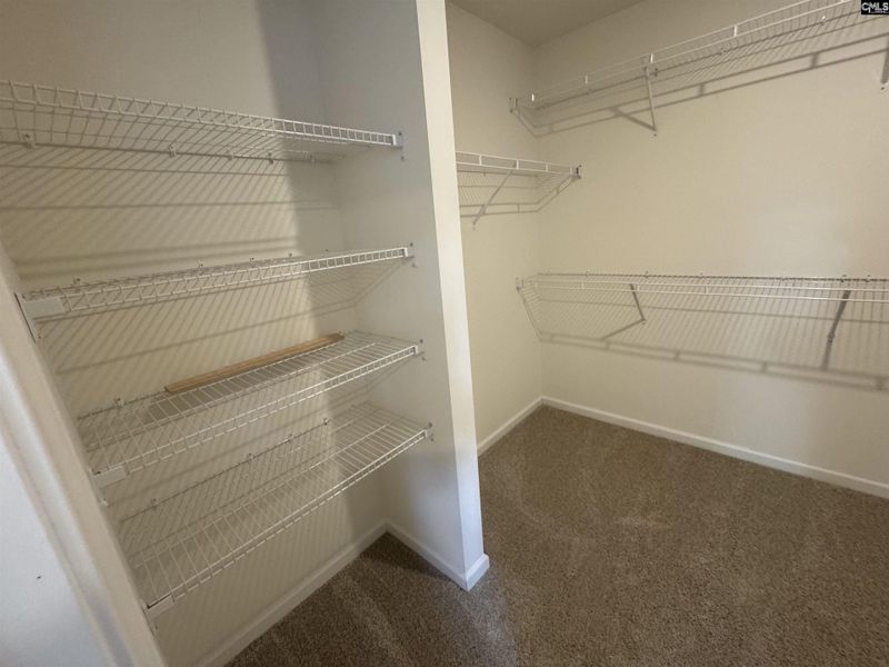 Spacious, unfurnished interior of a new home in Boykin Hills, Chapin (Image 48).