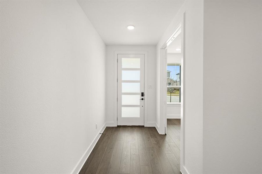 1725 Nesting Robin- Entry-4724