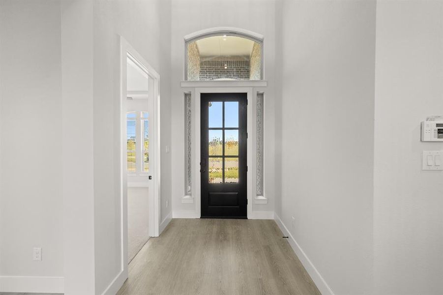 1202 Flock- Entry-1 1202 Flock- Entry-1