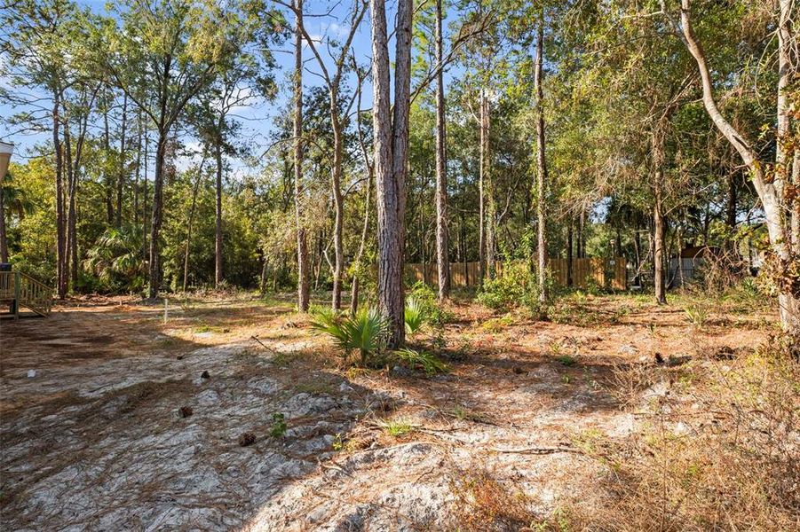 Natural landscape and outdoor views near in Homosassa (Image 41). Natural landscape and outdoor views near in Homosassa (Image 41).