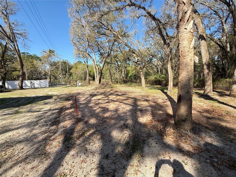 Natural landscape and outdoor views near  in Ocklawaha (Image 9).