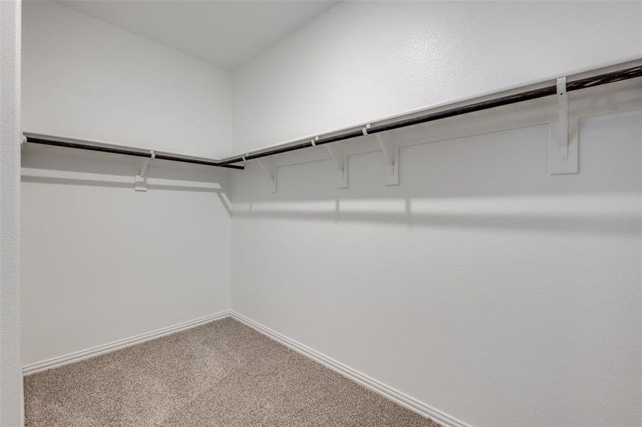 Walk in closet featuring carpet