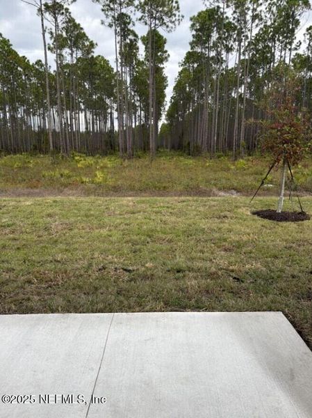 Natural landscape and outdoor views near Copes Landing in Jacksonville (Image 46). Natural landscape and outdoor views near Copes Landing in Jacksonville (Image 46).