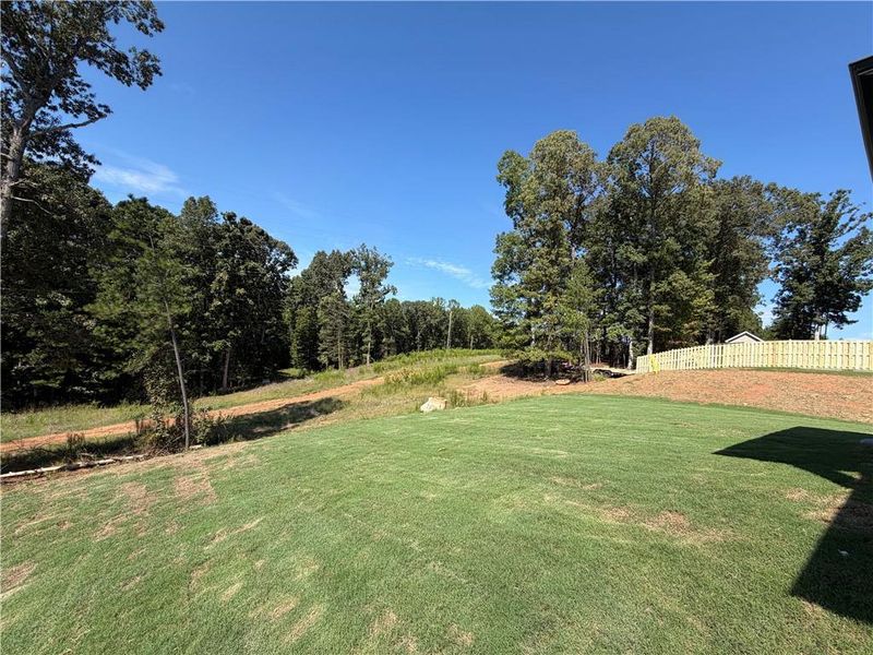 Natural landscape and outdoor views near Mallard’s Landing in Jefferson (Image 39). Natural landscape and outdoor views near Mallard’s Landing in Jefferson (Image 39).