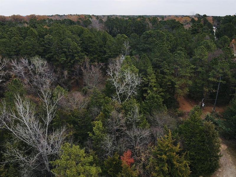 Natural landscape and outdoor views near  in Powderly (Image 6).