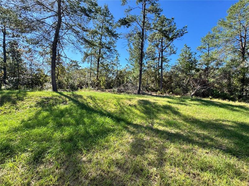 Natural landscape and outdoor views near  in Citrus Springs (Image 33).