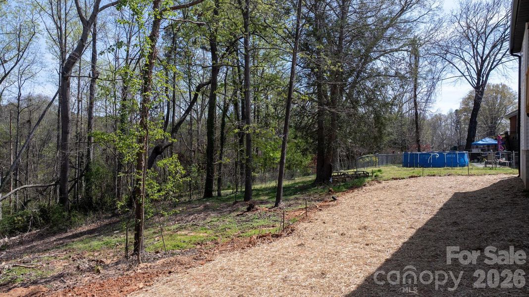 Natural landscape and outdoor views near  in Hickory (Image 42).
