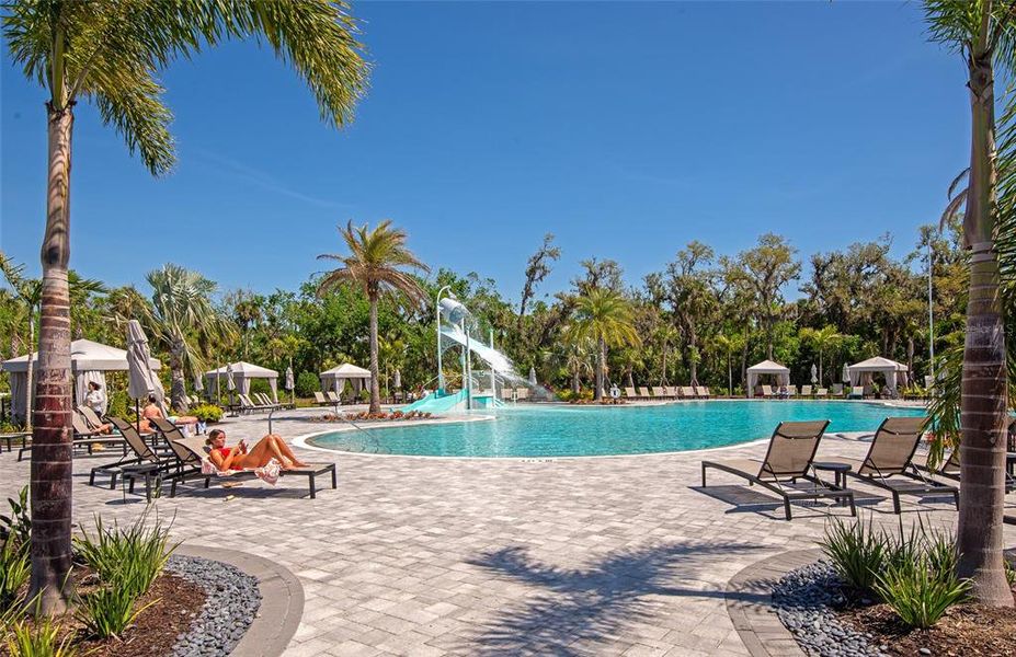 Community amenities in , Sarasota (Image 53).