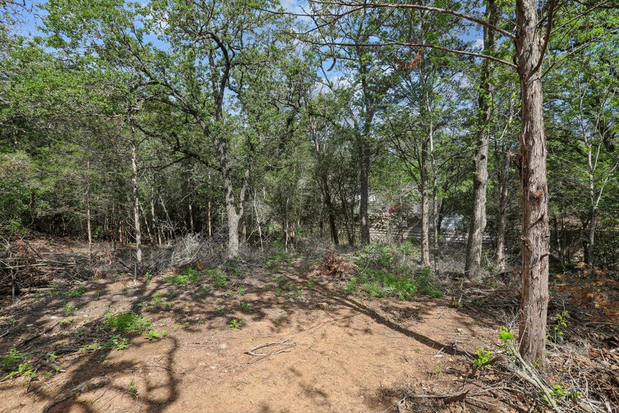 Natural landscape and outdoor views near  in Bastrop (Image 38).