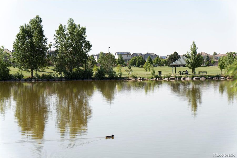 Natural landscape and outdoor views near  in Aurora (Image 38).