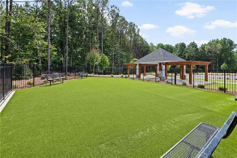Community amenities in Adler Springs, Powder Springs (Image 12). Community amenities in Adler Springs, Powder Springs (Image 12).