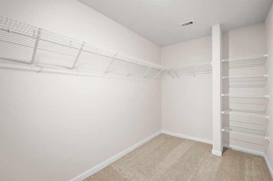 Carpeted walk-in closet.