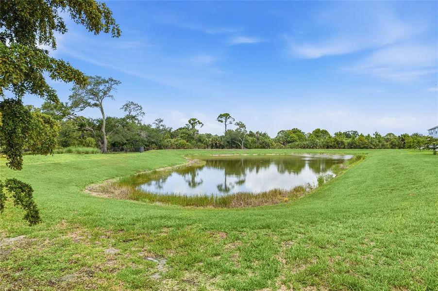 Natural landscape and outdoor views near  in Nokomis (Image 35).
