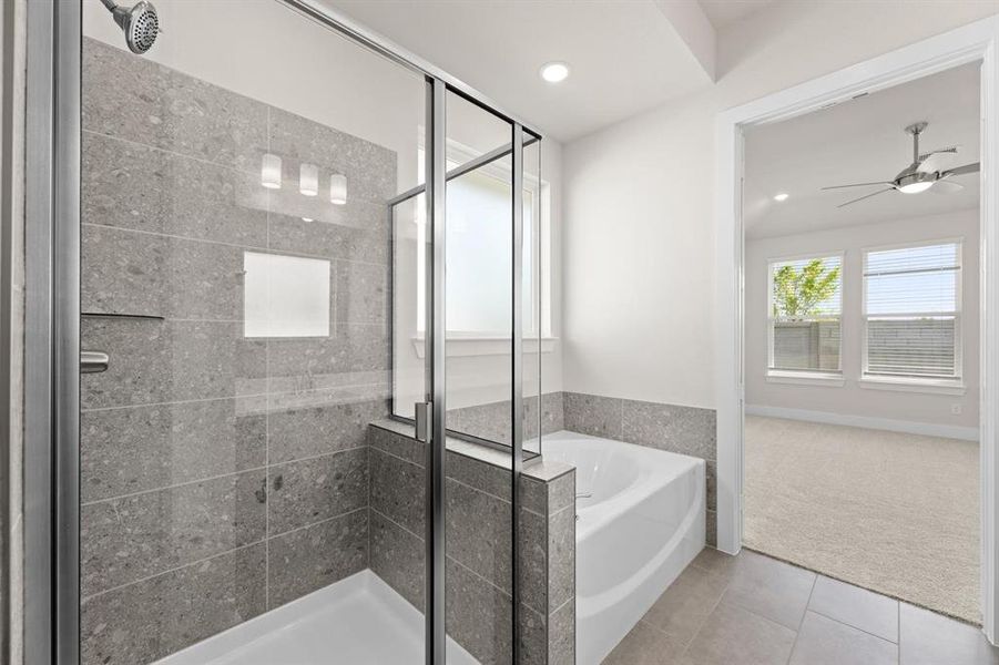 Discovery Collection at Painted Tree