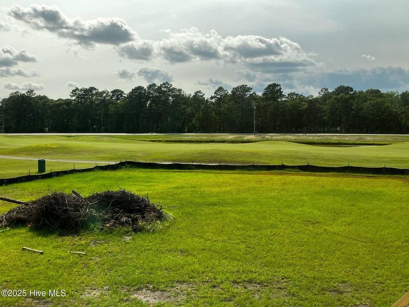 Natural landscape and outdoor views near Fairfield Harbour in New Bern (Image 20).